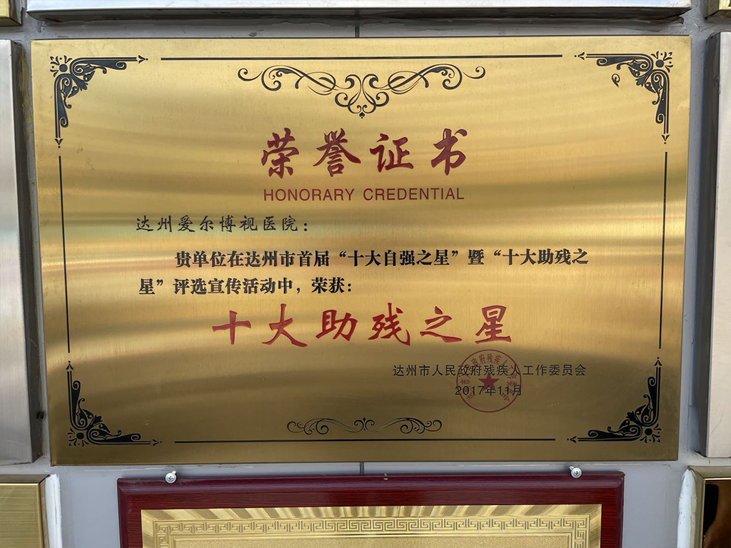 十大助残之星